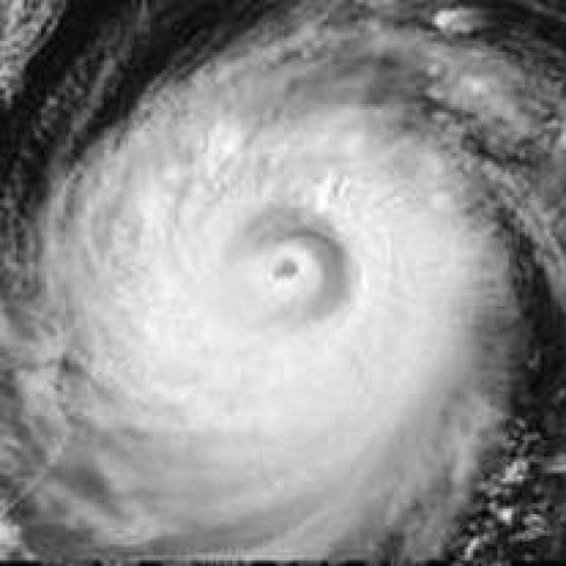 Disaster Contracting