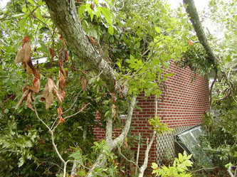 Storm Damage Repair